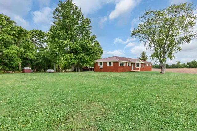 a view of a park with large trees