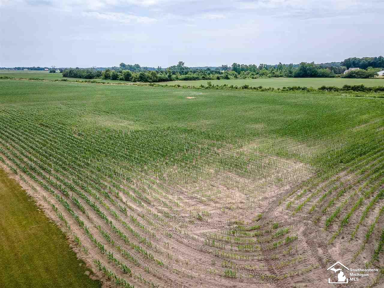 0 Douglas Road Ida, MI 48140 - Photo 2 of 14