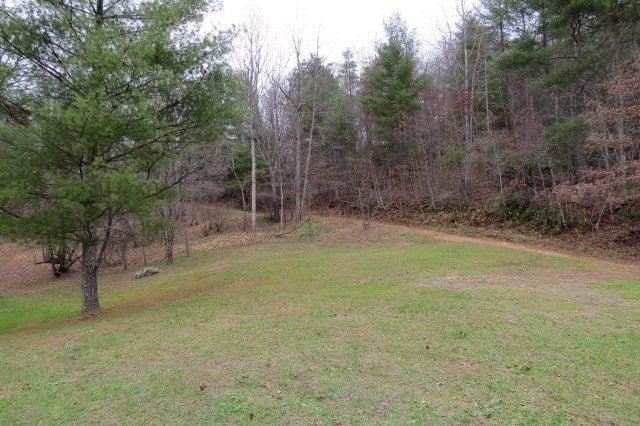 Tbd Pridemoore Road, Unit 2 Galax, VA 24333 - Photo 4 of 72 Gallery Image 4