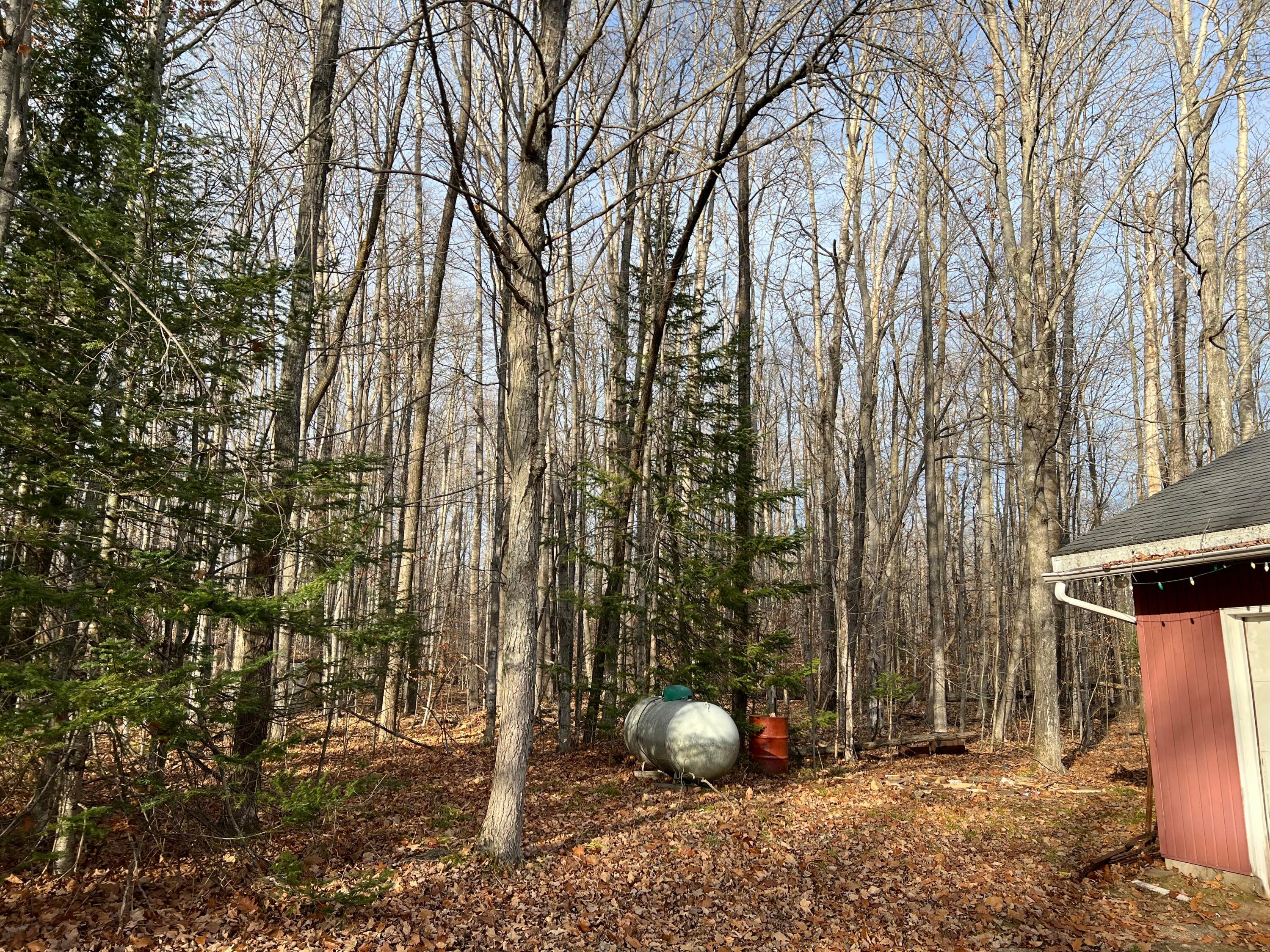 4289 Long Lake Road Cheboygan, MI 49721 - Photo 16 of 19 Gallery Image 16