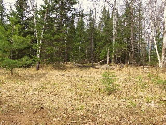 Near Near Cth J Mercer, WI 54547 - Photo 13 of 16 Gallery Image 13