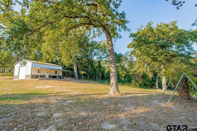 a view of a yard with plants and trees