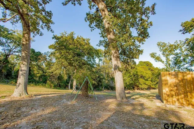a view of a yard with a tree