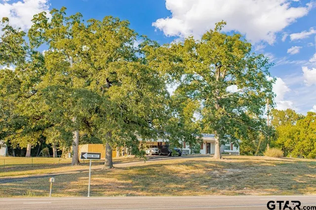 a view of a trees with a yard