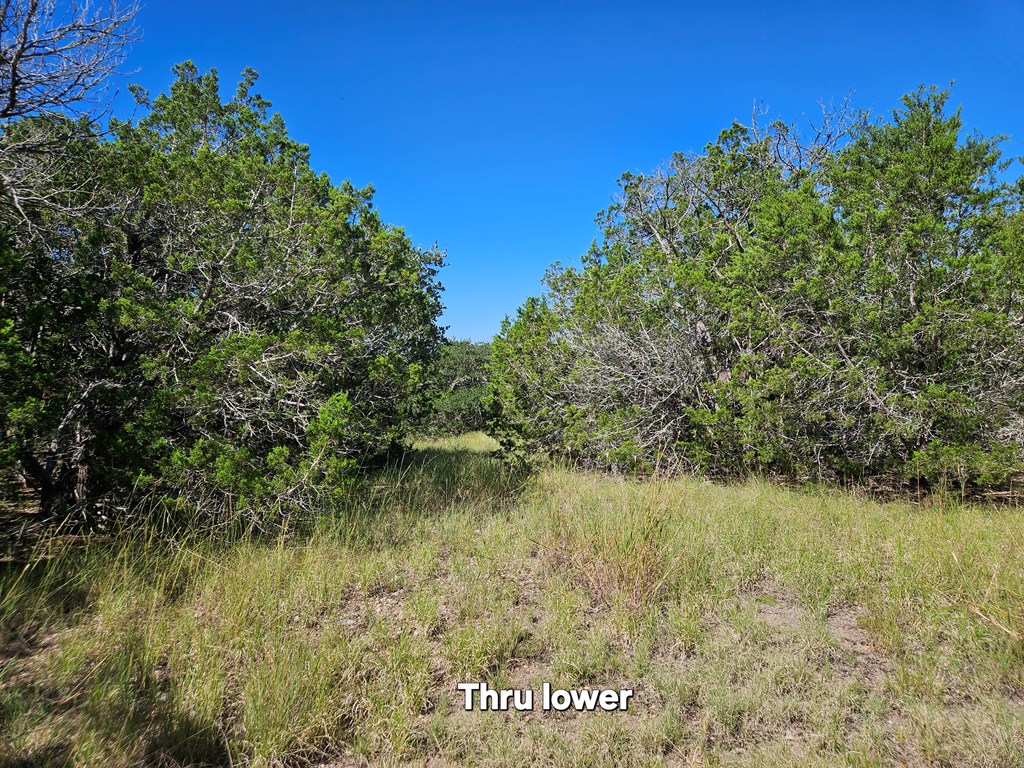 301 Cross Cut Road Hunt, TX 78024 - Photo 26 of 35