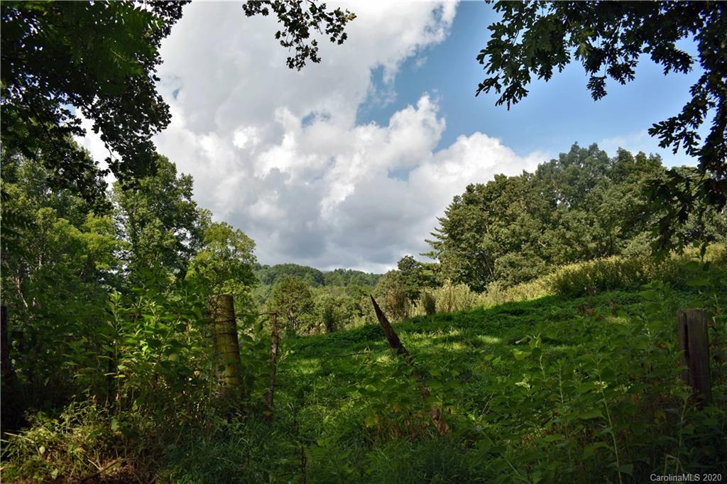 0 Rector Corner Road Marshall, NC 28753 - Photo 1 of 41