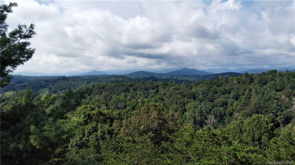 0 Rector Corner Road Marshall, NC 28753 - Photo 2 of 41