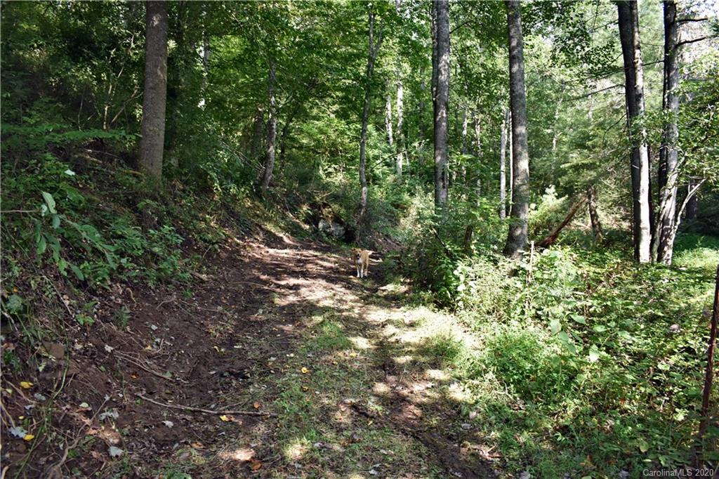 0 Rector Corner Road Marshall, NC 28753 - Photo 12 of 41