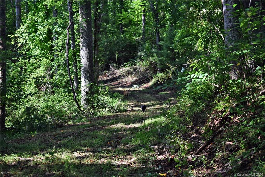 0 Rector Corner Road Marshall, NC 28753 - Photo 17 of 41