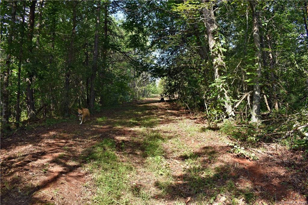 0 Rector Corner Road Marshall, NC 28753 - Photo 18 of 41