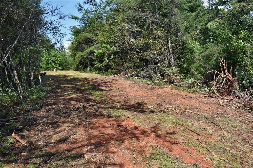 0 Rector Corner Road Marshall, NC 28753 - Photo 19 of 41