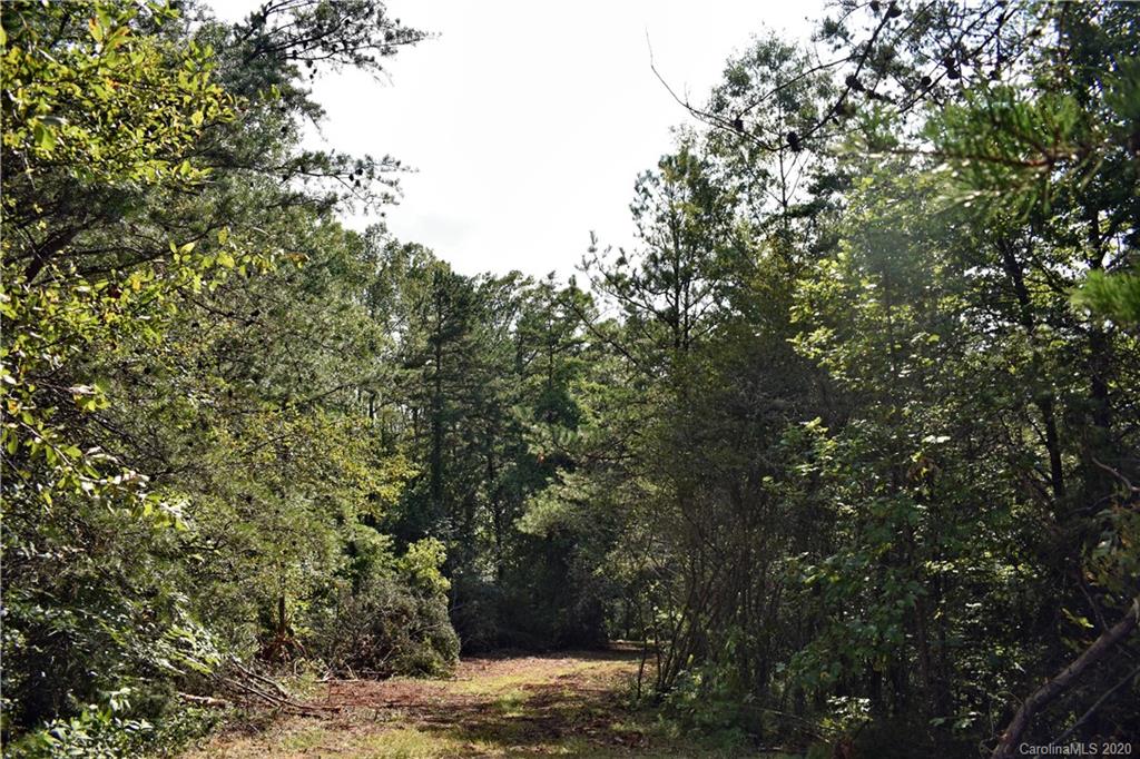 0 Rector Corner Road Marshall, NC 28753 - Photo 20 of 41