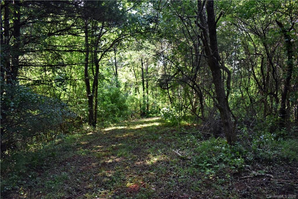 0 Rector Corner Road Marshall, NC 28753 - Photo 21 of 41