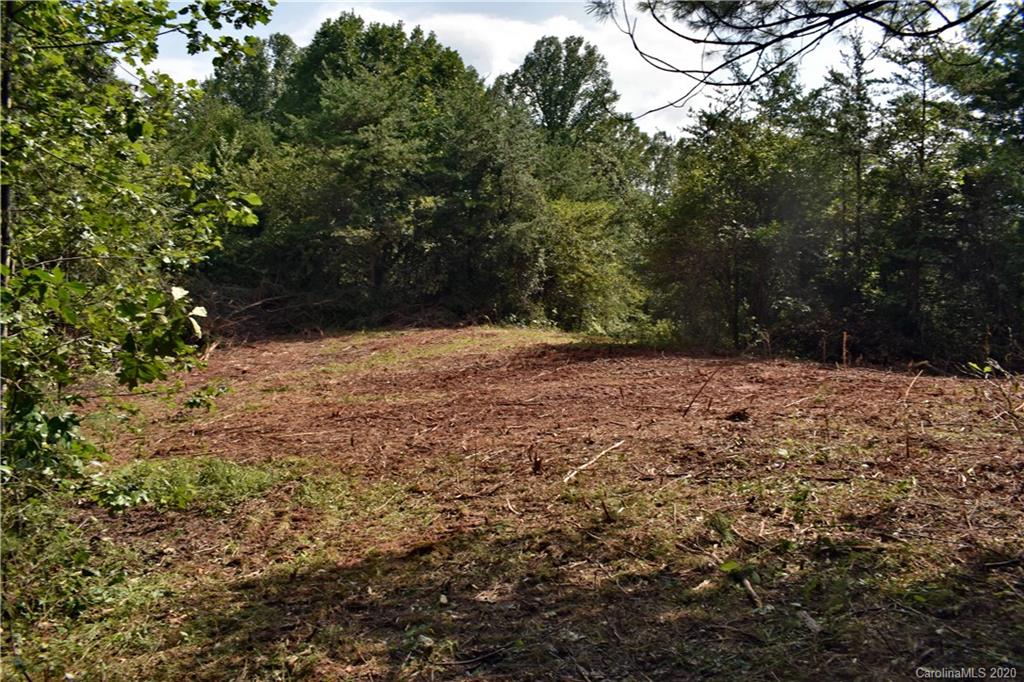 0 Rector Corner Road Marshall, NC 28753 - Photo 23 of 41