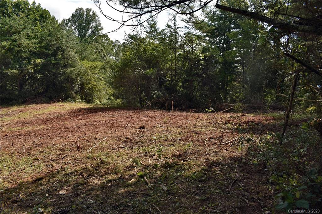 0 Rector Corner Road Marshall, NC 28753 - Photo 24 of 41