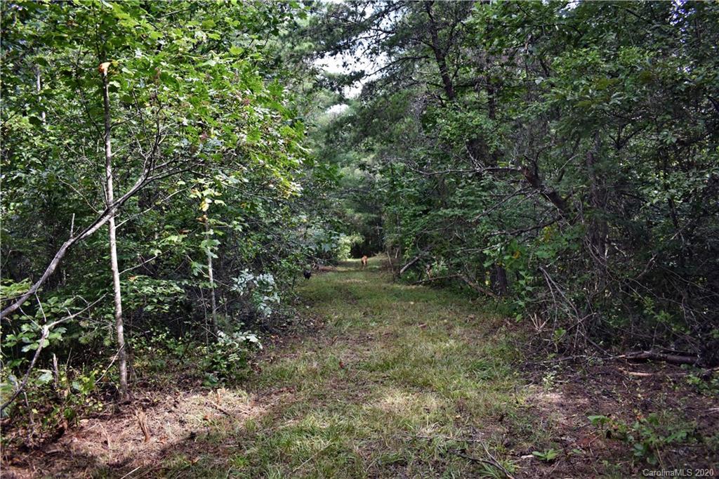 0 Rector Corner Road Marshall, NC 28753 - Photo 25 of 41
