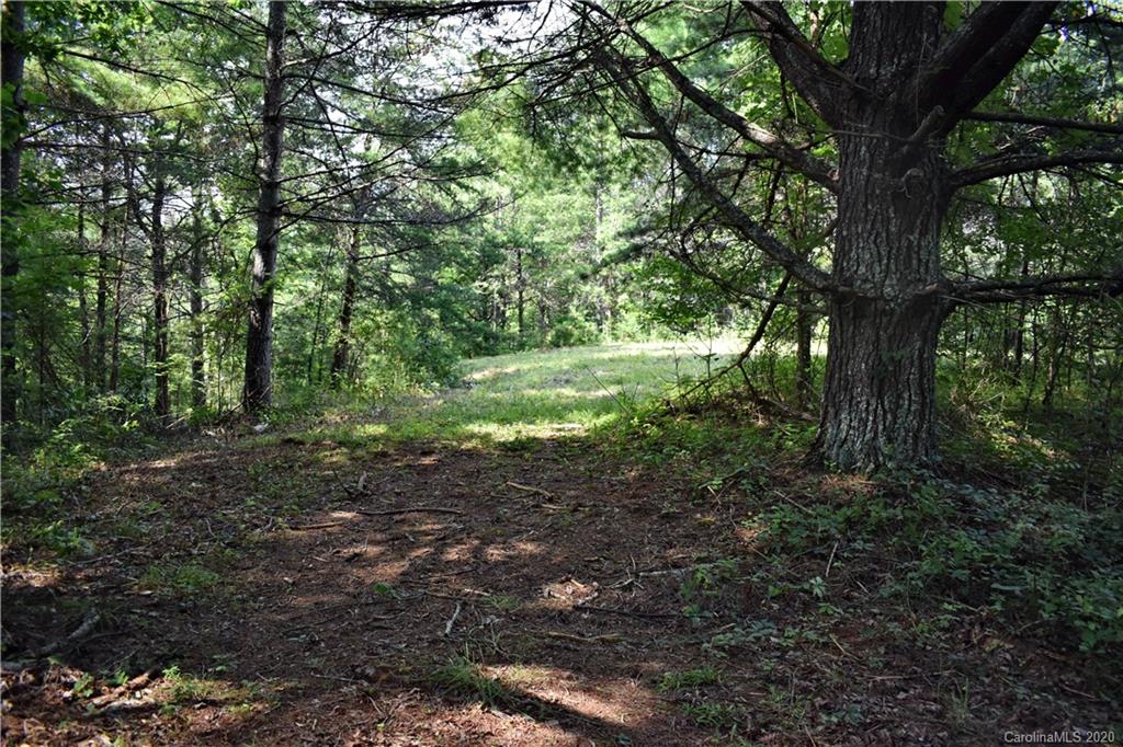 0 Rector Corner Road Marshall, NC 28753 - Photo 27 of 41