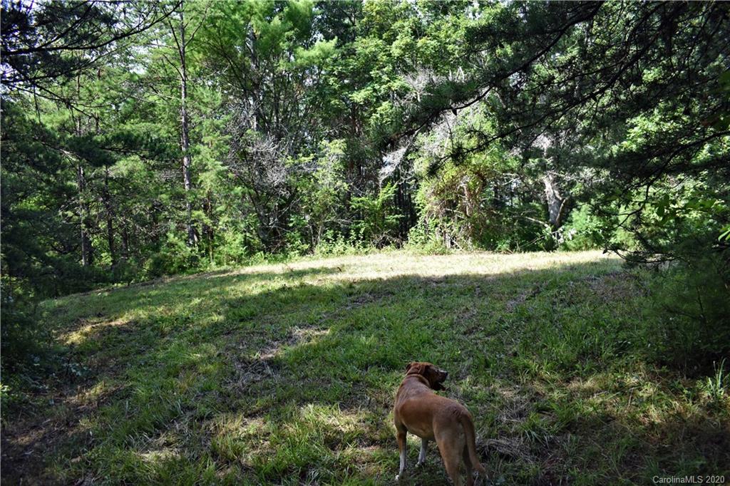 0 Rector Corner Road Marshall, NC 28753 - Photo 28 of 41