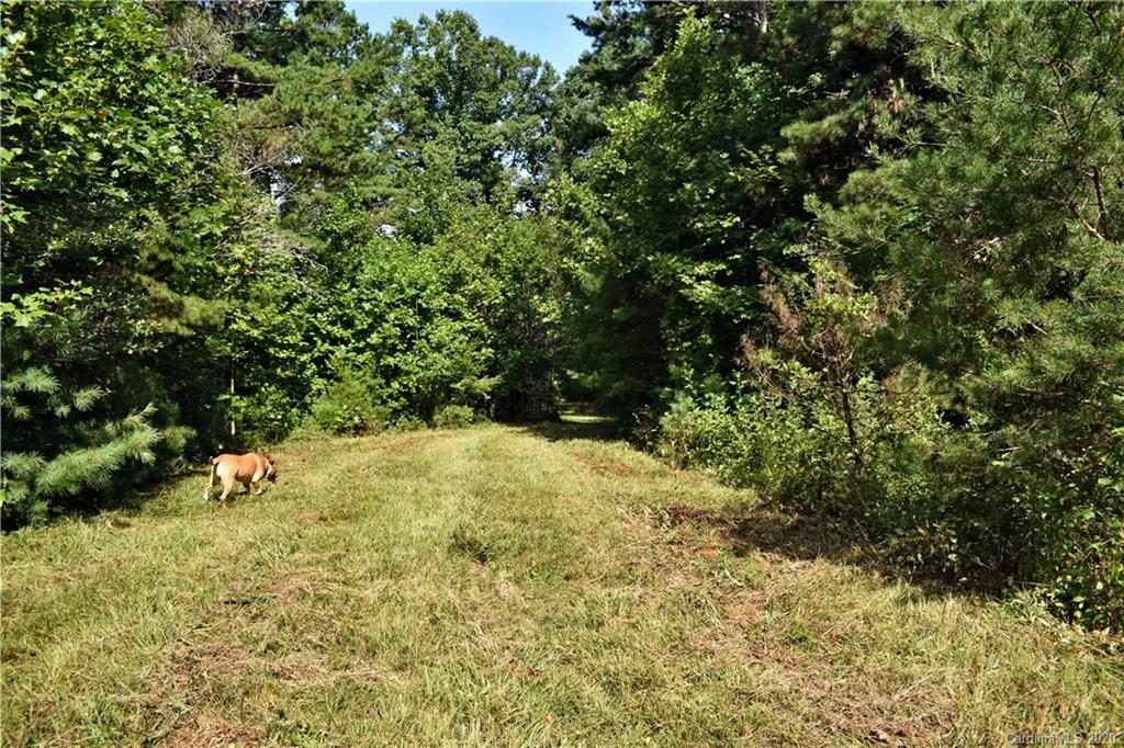 0 Rector Corner Road Marshall, NC 28753 - Photo 29 of 41