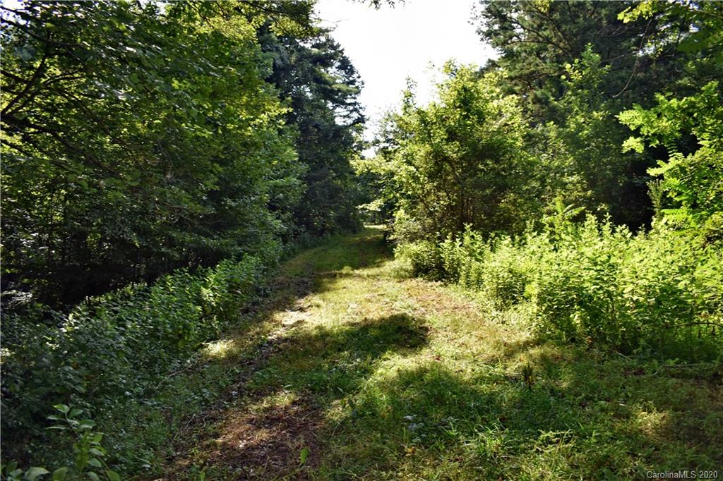 0 Rector Corner Road Marshall, NC 28753 - Photo 30 of 41