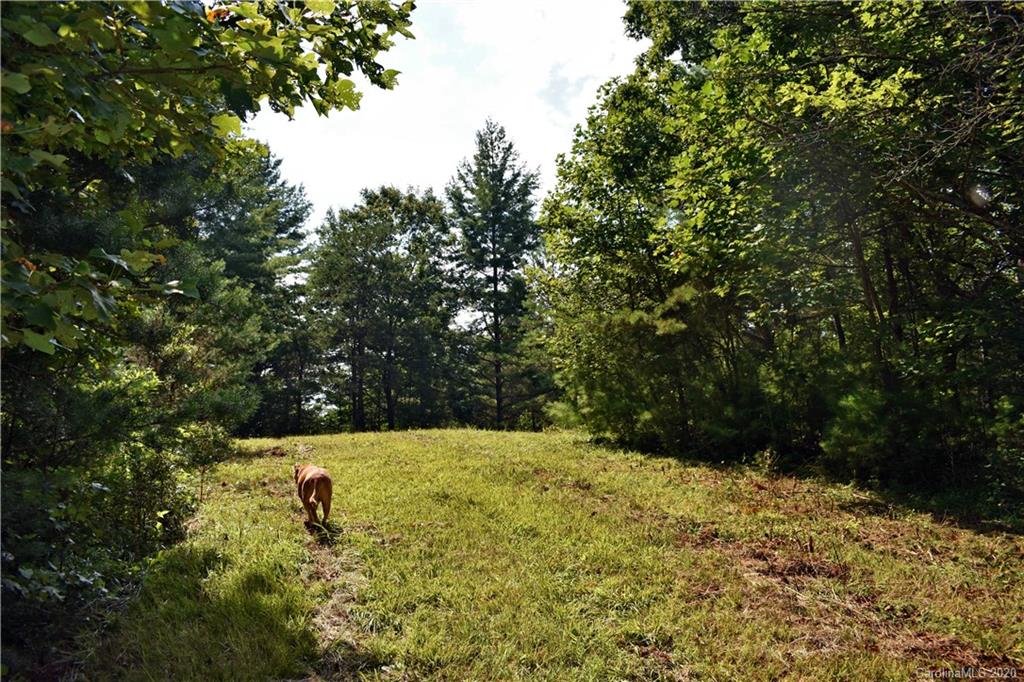 0 Rector Corner Road Marshall, NC 28753 - Photo 31 of 41
