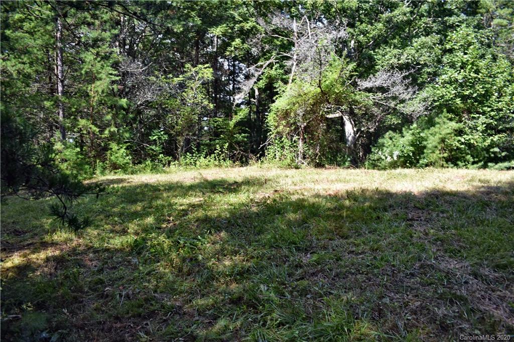 0 Rector Corner Road Marshall, NC 28753 - Photo 33 of 41