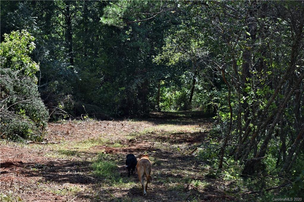 0 Rector Corner Road Marshall, NC 28753 - Photo 35 of 41