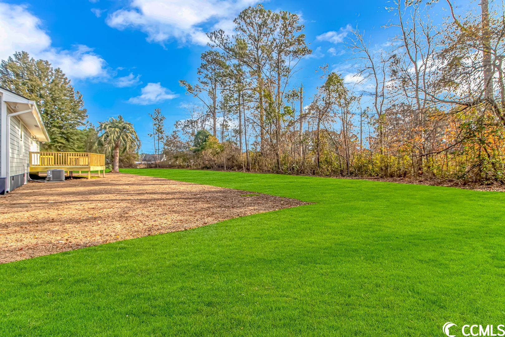 4391 New Found Lane Myrtle Beach, SC 29588 - Photo 28 of 32
