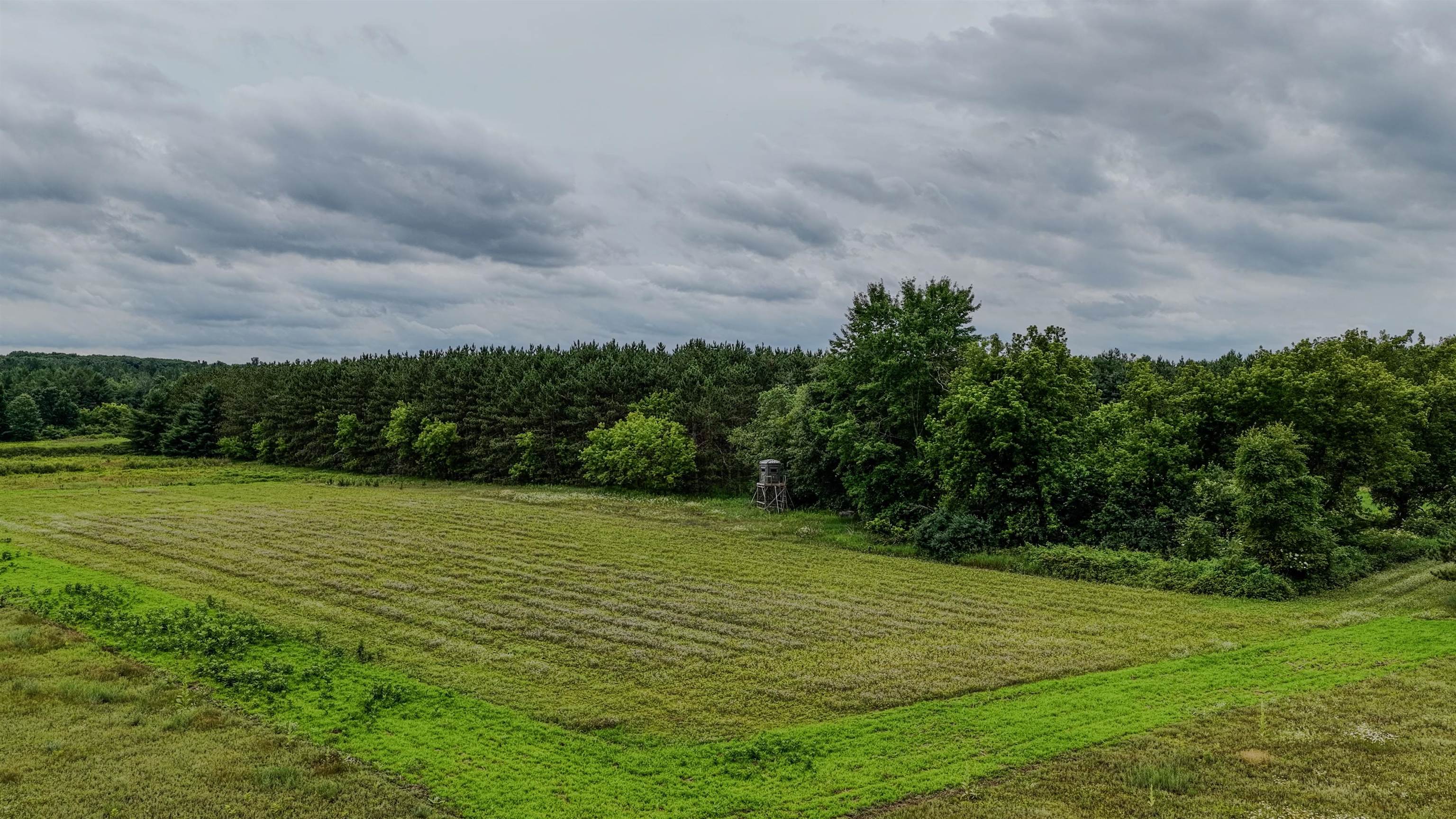 Boelter Road Iola, WI 54945 - Photo 15 of 18