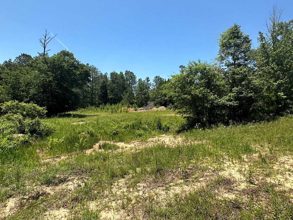 500 5 Mile Road Eufaula, AL 36027 - Photo 41 of 50