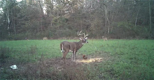 $668,000 | 617 Road Birch Tree Mo 65438, Birch Tree, MO 65438