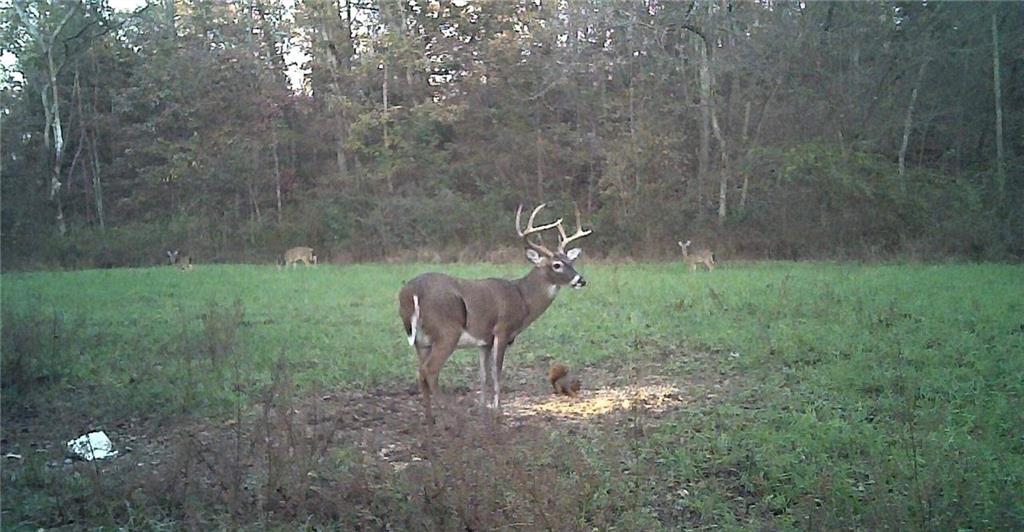 617 Road Birch Tree Mo 65438 Birch Tree, MO 65438 - Photo 12 of 47