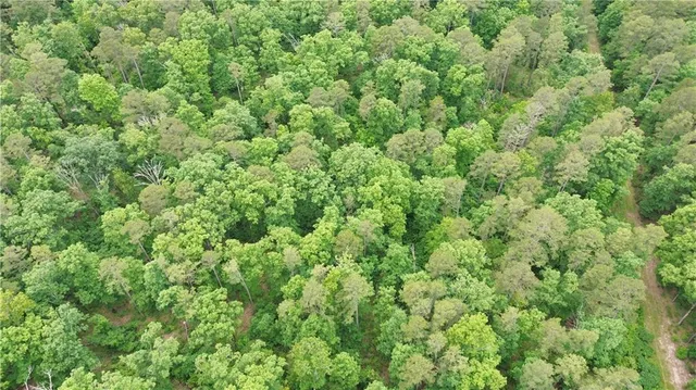 $668,000 | 617 Road Birch Tree Mo 65438, Birch Tree, MO 65438