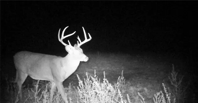 $668,000 | 617 Road Birch Tree Mo 65438, Birch Tree, MO 65438