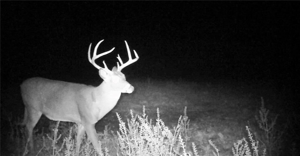 617 Road Birch Tree Mo 65438 Birch Tree, MO 65438 - Photo 17 of 47