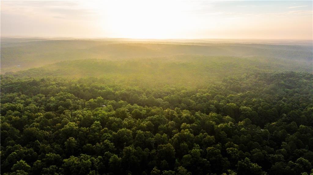 617 Road Birch Tree Mo 65438 Birch Tree, MO 65438 - Photo 21 of 47
