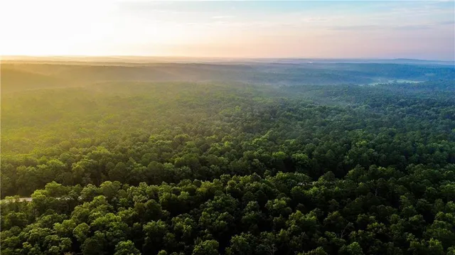 $668,000 | 617 Road Birch Tree Mo 65438, Birch Tree, MO 65438