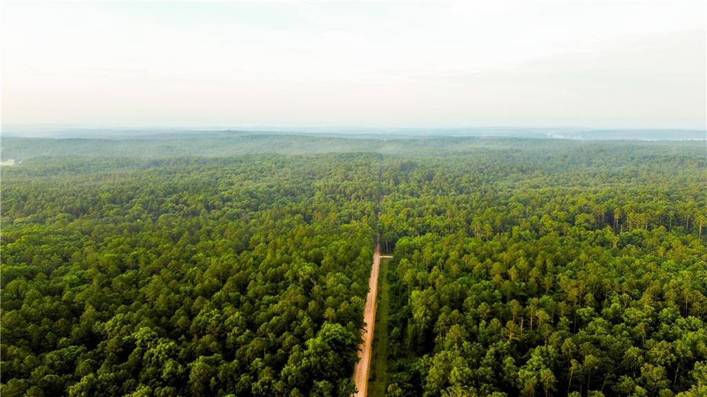 617 Road Birch Tree Mo 65438 Birch Tree, MO 65438 - Photo 25 of 47