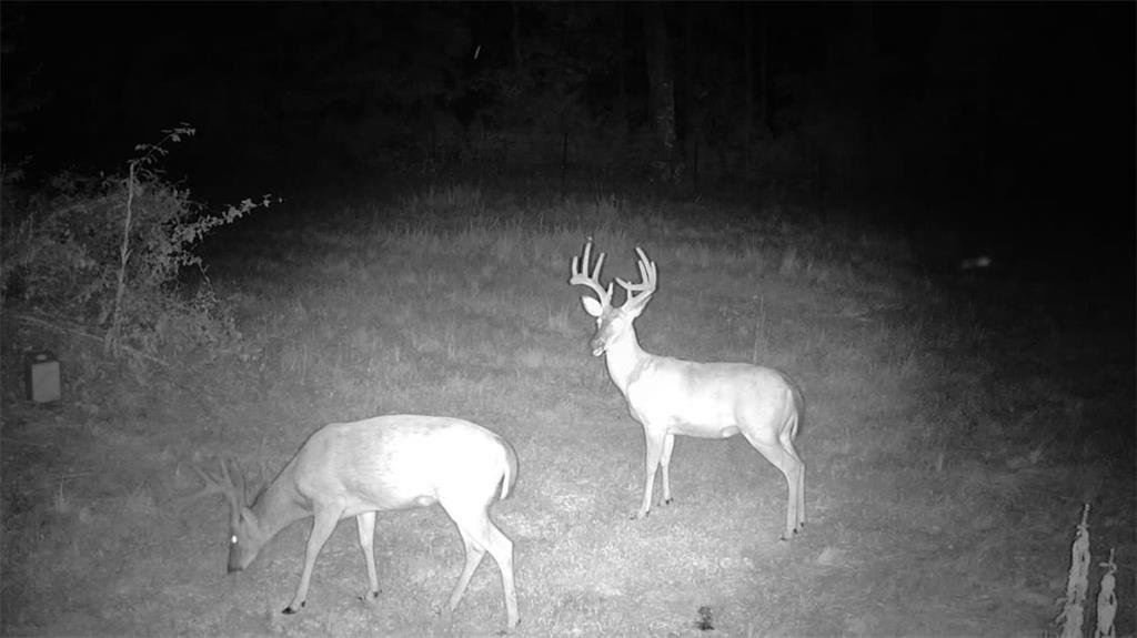 617 Road Birch Tree Mo 65438 Birch Tree, MO 65438 - Photo 27 of 47