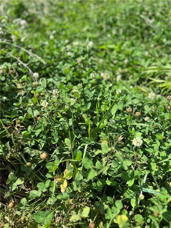 617 Road Birch Tree Mo 65438 Birch Tree, MO 65438 - Photo 28 of 47