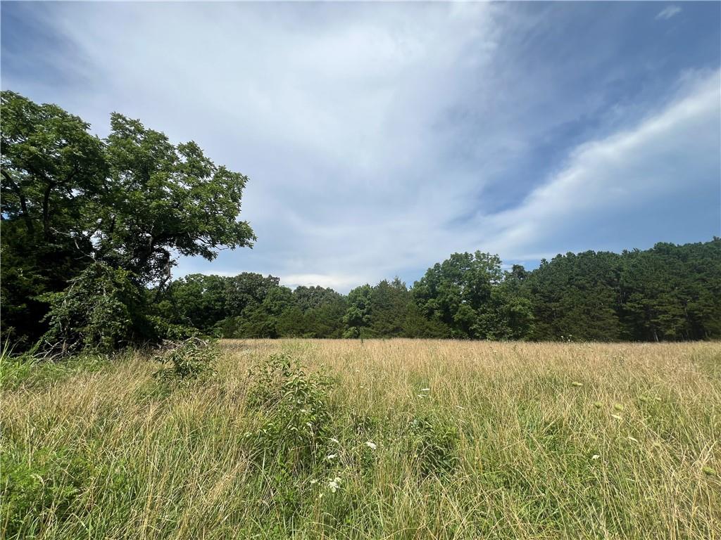 617 Road Birch Tree Mo 65438 Birch Tree, MO 65438 - Photo 30 of 47