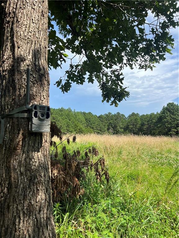 617 Road Birch Tree Mo 65438 Birch Tree, MO 65438 - Photo 3 of 47