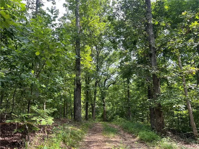 $668,000 | 617 Road Birch Tree Mo 65438, Birch Tree, MO 65438