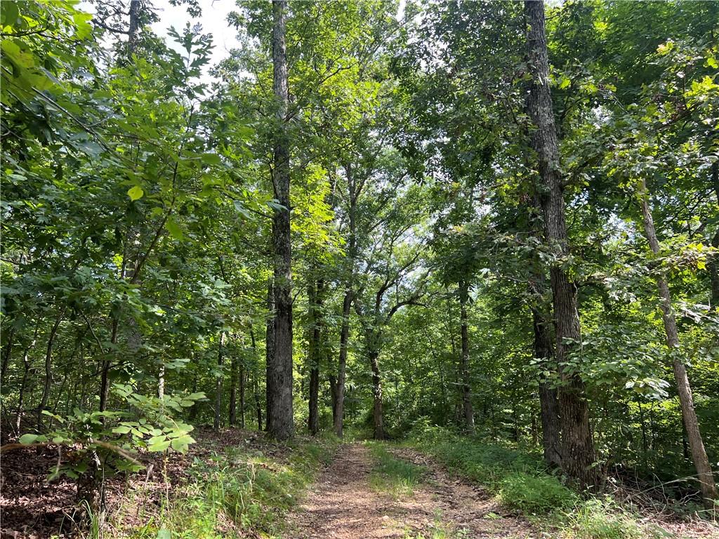 617 Road Birch Tree Mo 65438 Birch Tree, MO 65438 - Photo 31 of 47