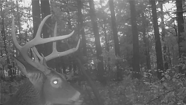 $668,000 | 617 Road Birch Tree Mo 65438, Birch Tree, MO 65438