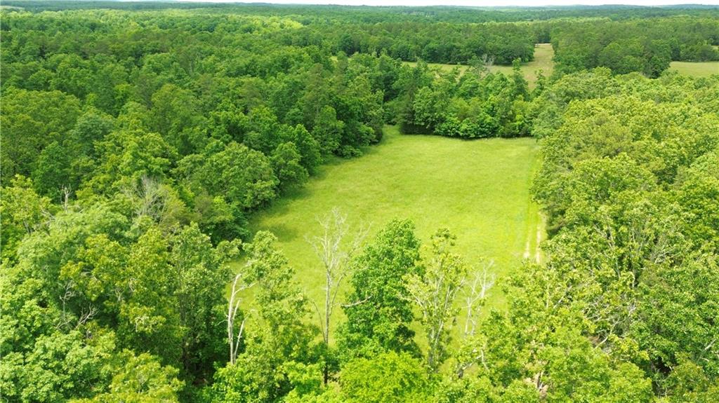 617 Road Birch Tree Mo 65438 Birch Tree, MO 65438 - Photo 4 of 47