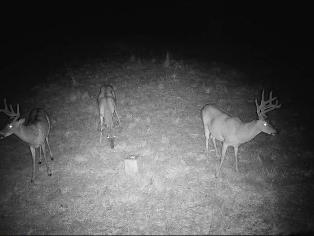 $668,000 | 617 Road Birch Tree Mo 65438, Birch Tree, MO 65438