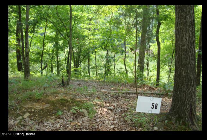 Lot 59 Gannaway Road Leitchfield, KY 42754 - Photo 1 of 1 Fawn Hill