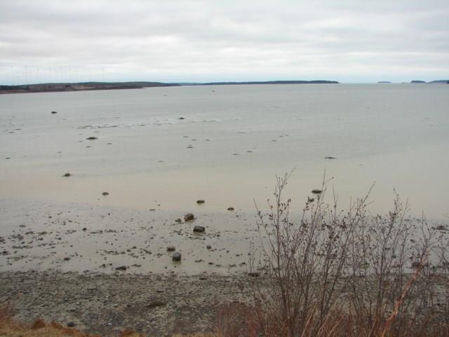 1149 Cutler Road Whiting, ME 04691 - Photo 4 of 18 Photo