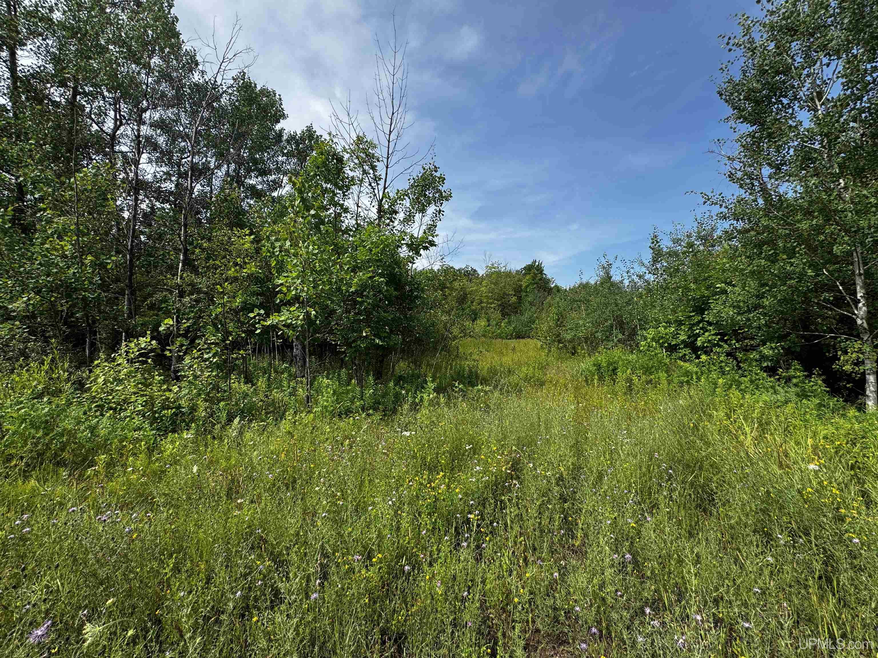 Tbd Beartown Road Baraga, MI 49908 - Photo 2 of 7
